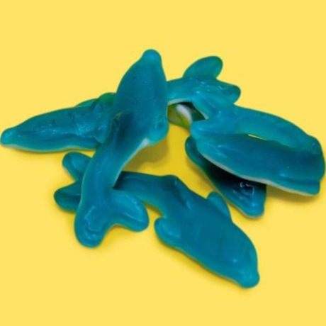 Blue Raspberry Dolphins