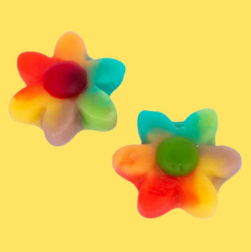 Multicolour Flowers