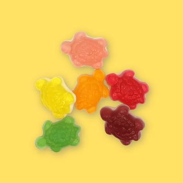 Jelly Turtles