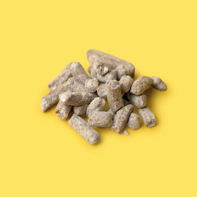 Chocolate Nibbles