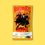 Harry Potter Hogwarts 10 Good Flavour Mix 28g Bag