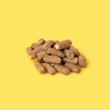 Toffee Choc Nibbles
